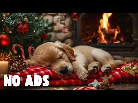 24 Hours of Soothing Dog Sleep Music 🐕🌌 Deep Relaxation, Comfort & Stress Relief