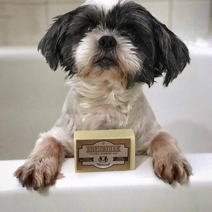 🐾 WOOF! We love to reward our LOYAL FANS! Share this post with your friends and receive 😍 20% your next purchase with code SHARELOVE20 100% Natural 🌿 Handcrafted in the USA 🇺🇸 Dog Approved & Vet Recommended 🐶 Shop now at https://naturaldogcompany.com | Natural Dog Company