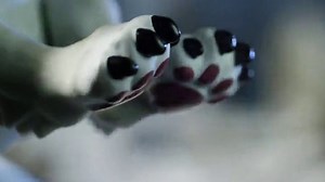 Watch WowWee Fingerlings Untamed – Dire Wolf – Midnight ﹙Black and Red﹚ ﹙Amazon Exclusive﹚ on Amazon Live