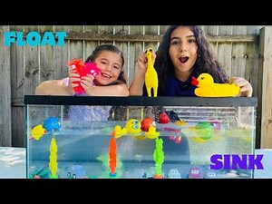 Sink or Float Learn About Density With Elizabeth and Briceida
