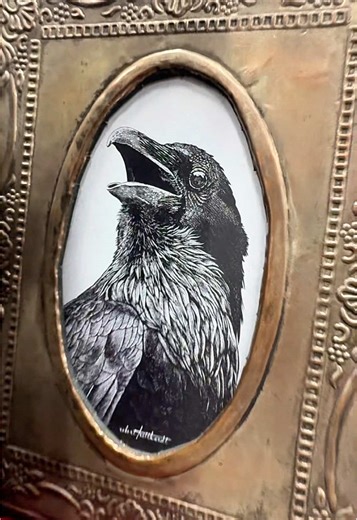 This one’s for all the ladies who wish for pet crows 🐦‍⬛✨🖤 Featuring Robert Tritthardt at Oddities & Curiosities Expo 💀 #weirdstuff #gothtok #thingstodo #crowtok #odditiesevent