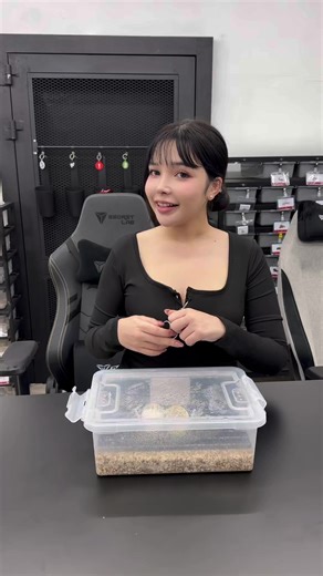 คอกนี้มีสูญเสีย 😔 #ballpython