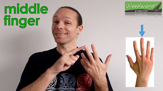 MIDDLE FINGER - Meaning and Example Sentence English Word of the Day: middle finger (noun): This is typically the longest finger that is in the middle of the hand. English Word of the Day Example: I fractured my middle finger while playing football and now it will never be straight again. #MiddleFinger #Hand #WordOfTheDay #WOTD #LearnEnglish | Woodward English