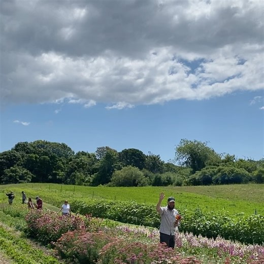 Cape Cod Organic Farm on Reels | Facebook