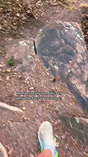 The Debate on Creation: Science vs. Belief