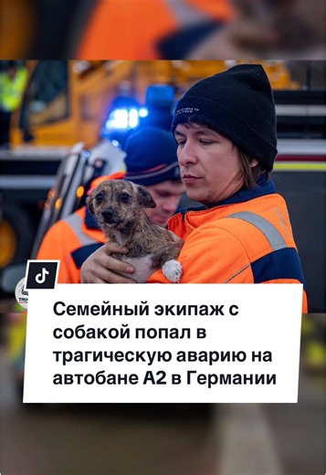 Eine nächtliche Fahrt auf der Autobahn A2 in Deutschland endete tragisch. Ein spanischer Lastwagen mit einer Familienbesatzung und einem Hund war in einen schweren Verkehrsunfall verwickelt. Die Umstände des Unfalls werden ermittelt. #lkw#lkwfahrer#unfall#truckdriver#camion