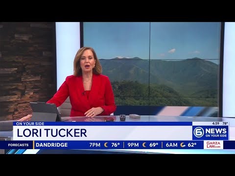 What new Medicaid work requirements mean for Tennessee and Kentucky