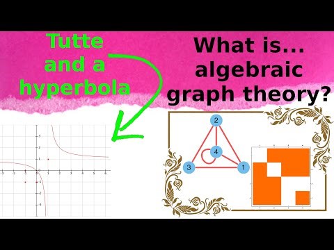 What is...the complexity of the Tutte polynomial?