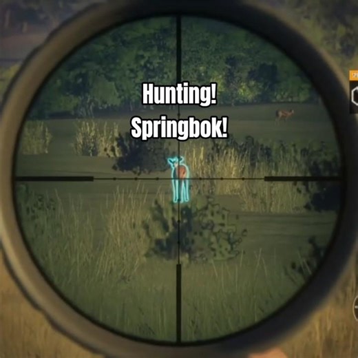 TheHunter Call Of The Wild / Hunting a Springbok #thehuntercallofthewild #hunting #springbok #short