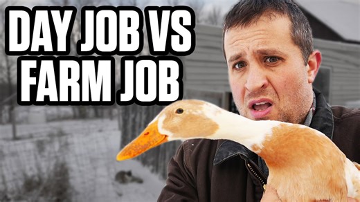 Candid reflection on the struggle of being a part-time farmer