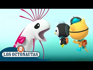 Los Octonautas - Temporada 1 | Episodio completo 28 | Episodios Completos