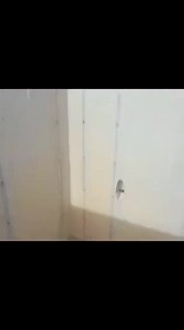 No copyrights to the music in this compilation lmao 🤣 100064381405833:2048:U.S. Army memes #memes #army #usarmymemes Part 10 | U.S. Army memes