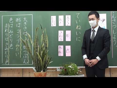 小２国語④かんさつ名人になろう１