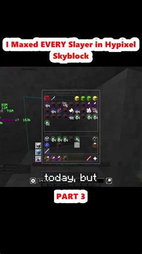 I Maxed EVERY Slayer in Hypixel Skyblock (3)