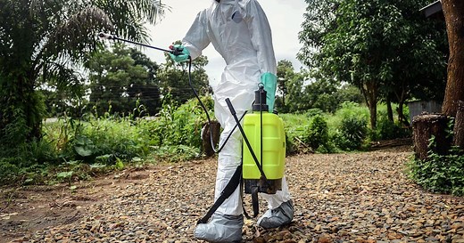 Where Did Ebola Come From? Likely One Person, Gene Study Finds
