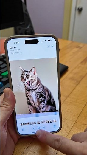 How To Enable iOS/iPhone Photos App Visual Lookup (Object Identification) Feature #iphonetips #ios