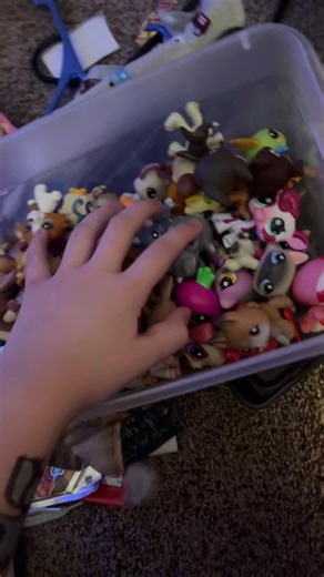 #lps #nightroutine #fyp