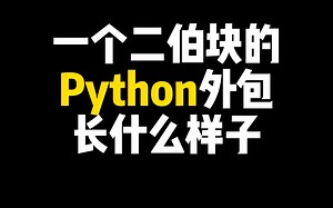 Python二百米的外包工作长啥样？我来给你大揭秘