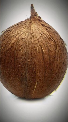 I thought you said you were invincible???? #funny #wow #memes #edits