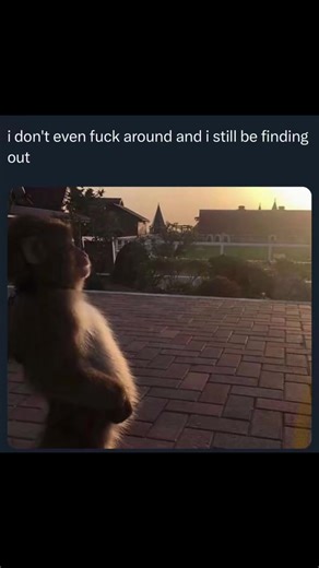 😭 #funny #meme