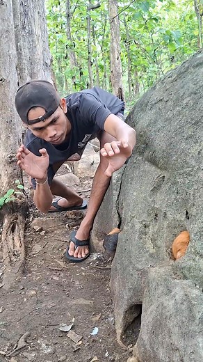 15K views · 31 reactions | Wow, this animal's fur is very nice. #fyp #realsviral #vidioviral #OMG #amazing | Arif Dek Pole | Facebook