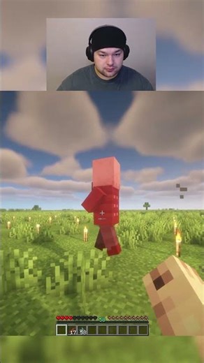 Killing an vindicator unarmed in minecraft day 117 #shorts #viralshorts