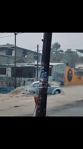 170K views · 3K reactions | ⚠️ www.bUGbUs.nEt ⚠️ —> Classifieds...