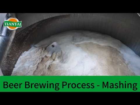 Beer brewing process - Mashing