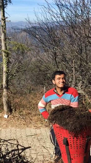 Piyush Chauhan on Instagram: "Guys ghar valo ne kam me laga diya 😅😂 #highlight #vlog #view #farming #work #workout #share #followforfollowback #facebook"