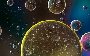 Why Some Rheumatoid Arthritis Patients Have Pain Without Inflammation | Cell And Molecular Biology