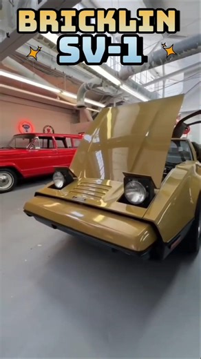 The Dream That Cracked: The Story of the Bricklin SV-1