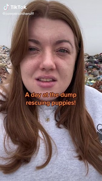 The Rescued Tails on TikTok