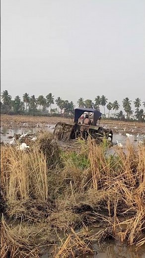 Tractor Videos - Tractor Stuck in Deep Slime!