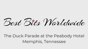Watching the Duck Parade at the Peabody Hotel!