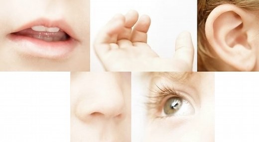 Kim-Spiele: Training für die sinnliche Wahrnehmung