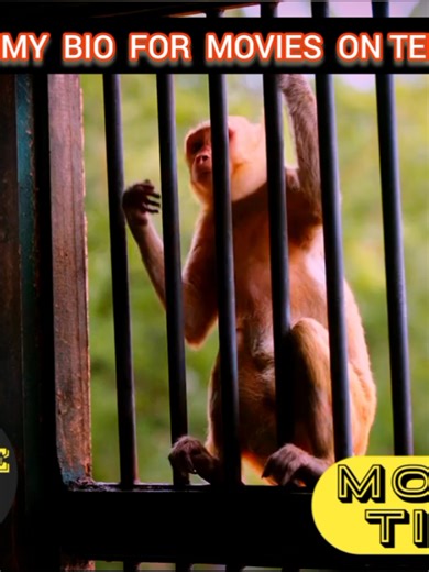 Top Indian Movies to Watch This Year