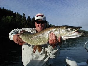 Northern Pike on Swimbaits! "Angler's Xperience Episode 33"