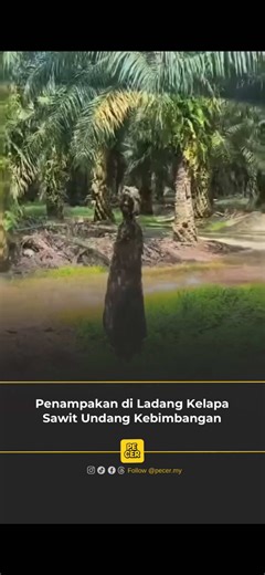 Exploring Scary Ghost Stories in Palm Oil Plantations