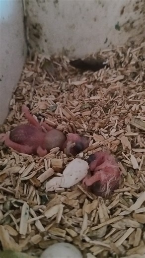 Love these guys | Kel Biddle