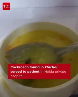 A dead #cockroach was allegedly found in a plate of khichdi served to a patient at #Fortis Hospital in #Noida. The food safety officer collected samples for inspection, while the hospital management said it had launched an investigation. Read here 🔗http://toi.in/Km6LRb38 #UttarPradesh #Food #Hospital | The Times of India