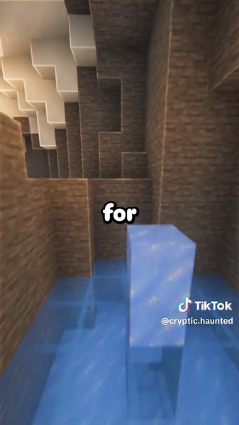 Something keeps typing on my computer at night. Last night, it wrote