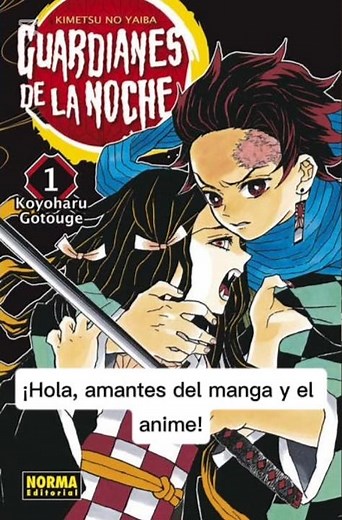 Kimetsu no Yaiba - Demon Slayer Manga Completo en español descargar PDF
