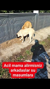 Sinan Özdemir on Reels