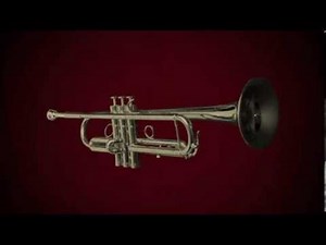 Swingrowers - Mr.Sandman