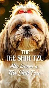 The Dog Bred to Hunt LIONS? #Shorts