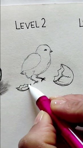 Hen life cycle drawing 🥚🐣🐔 #art #shorts #drawing #viralshorts #ytshorts