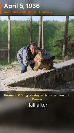 The Nazi Who Raised a Lion – Unseen 1938 Photo! #timepeek #ww2 #history #hermanngoering #germany