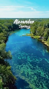 Have you ever been to Alexander Springs? It is considered one of the 4 jewels of the #OcalaNationalForest and a great place to swim! 🌴🌀 📷: @trektion_ 📍Alexander Springs, Ocala National Forest, Florida Tag #mustseeflorida to share your experience in FL🍊R🌴DA! - Follow @mustseeflorida | Must See Florida
