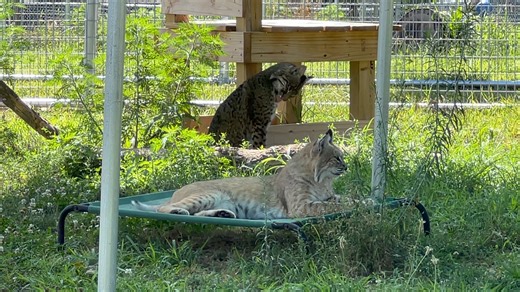 21K views · 1.5K reactions | Good afternoon, everyone! Flint is part...