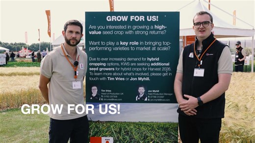 12 reactions |  Seed Growers Wanted for Harvest 2026!  Are you ready to grow a high-value crop with strong returns? Want to help bring top-performing hybrid varieties to market at scale? KWS is expanding our network of hybrid seed growers due to rising demand — and we’re looking for seed growers for Harvest 2026. Interested in what’s involved? Drop us a message to learn more! | KWS UK | Facebook